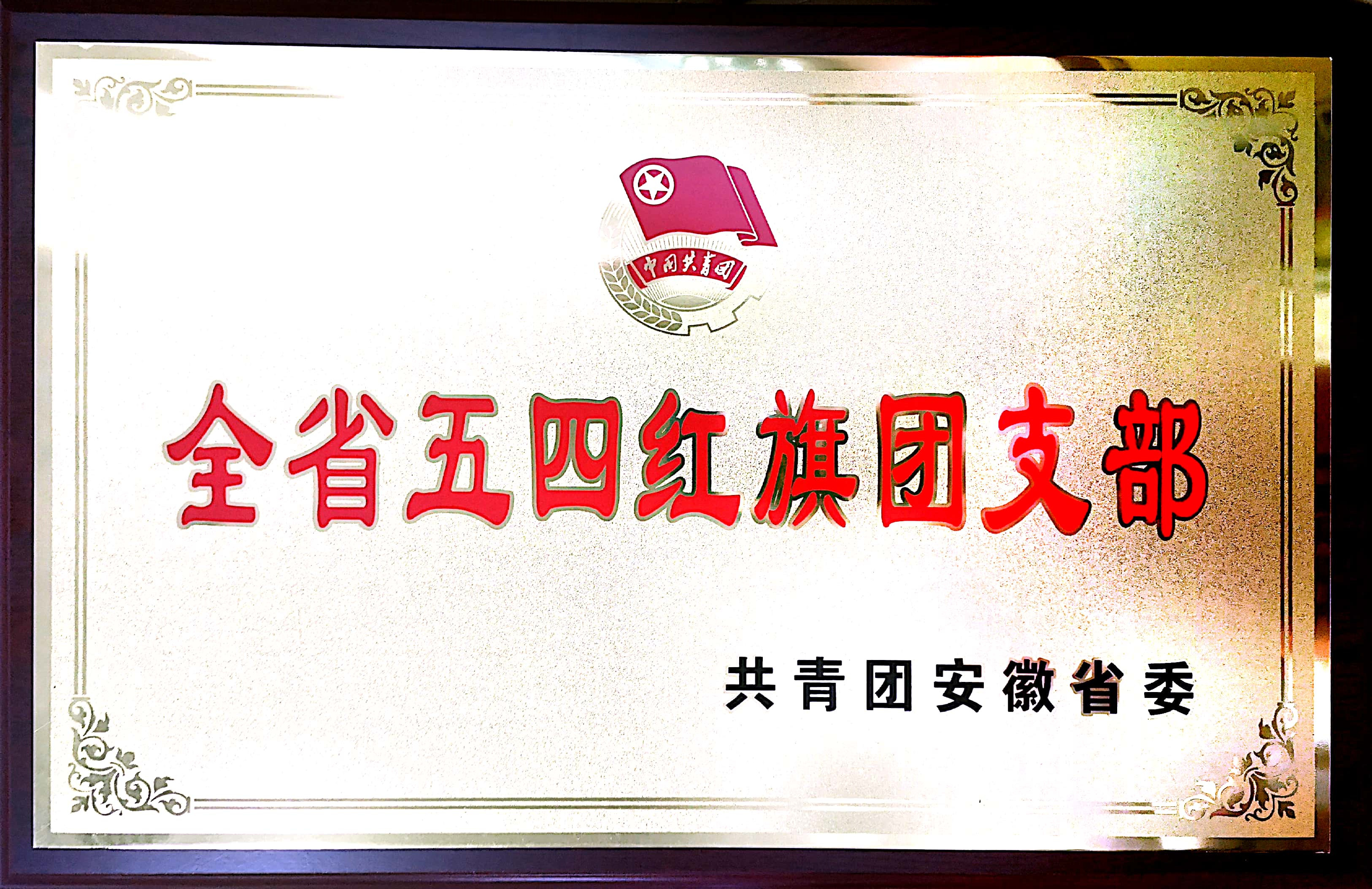 2019省五四红旗团支部.jpg 2019省五四红旗团支部.jpg