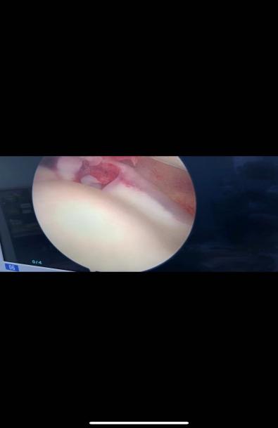 �?�����¹۲����ݹ������?- ����.jpg